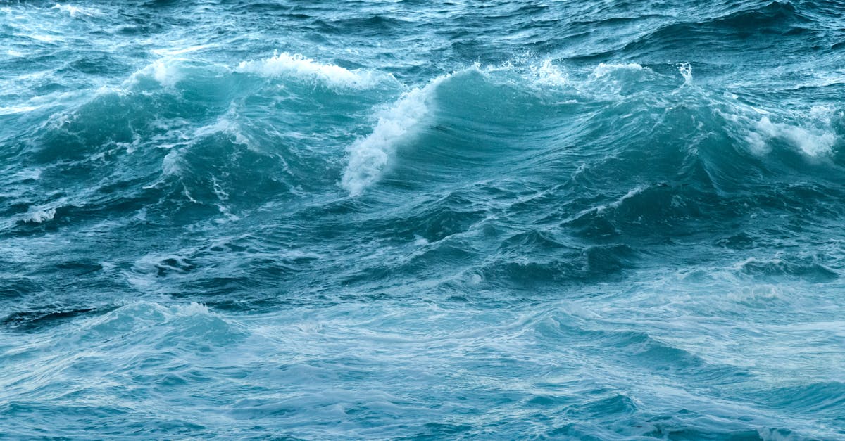 Comprehensive Guide to Common Plumbing Issues in Melbourne Homes