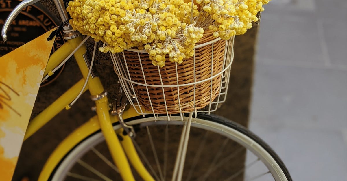 Creating a Safe Workspace at Home