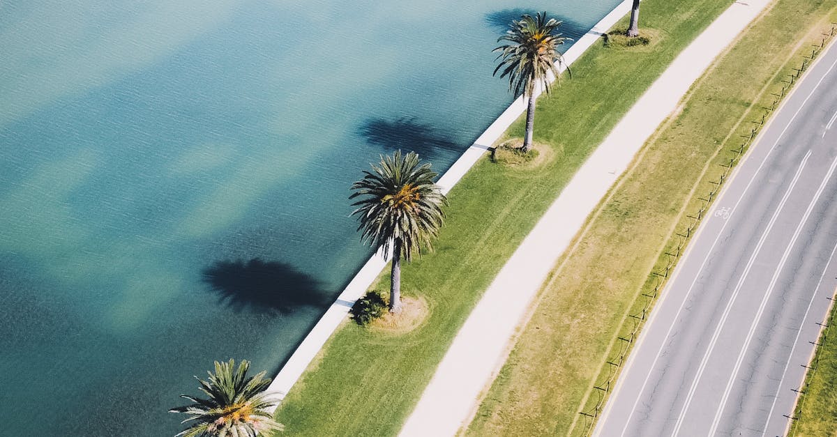 Essential Timber Choices for DIY Carpentry Projects in Melbourne