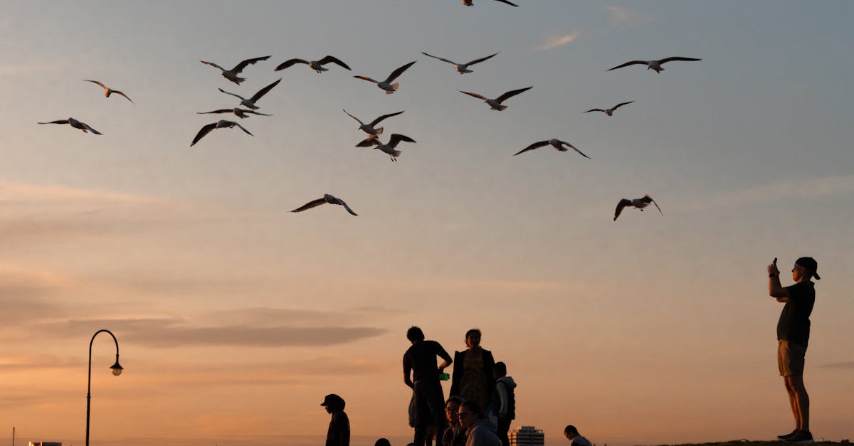 First Aid Essentials for DIY Enthusiasts