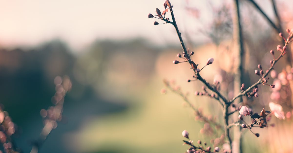 How to Choose the Right Plumbing Service in Melbourne