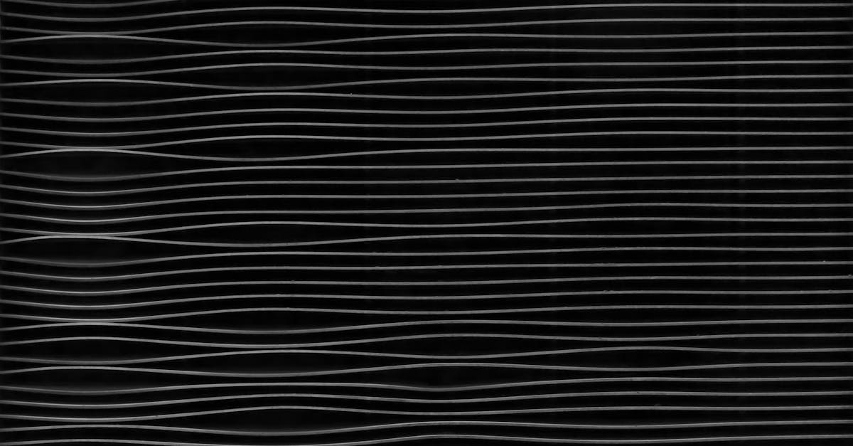 Seasonal Gardening Guide for a Healthy Outdoor Space