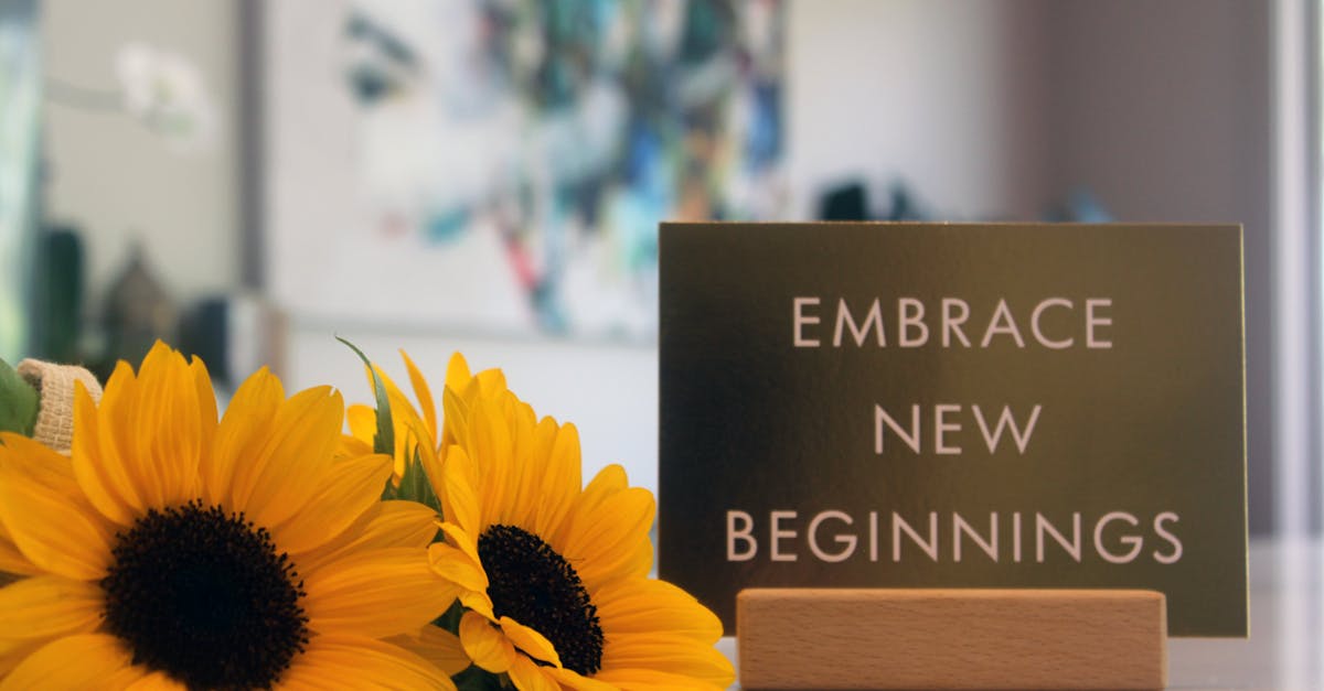 Step-by-Step Guide to DIY Minor Plumbing Fixes