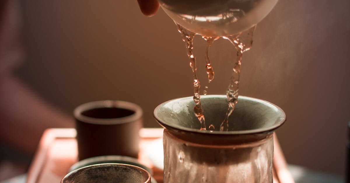 The Importance of Regular Plumbing Inspections